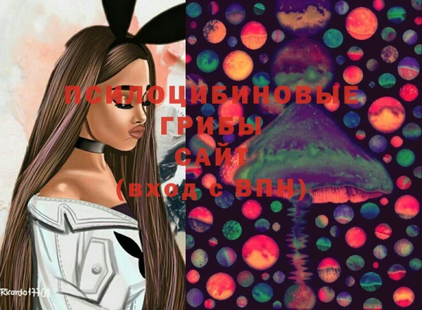 мдпв Магадан