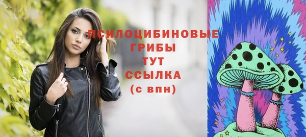 мдпв Магадан