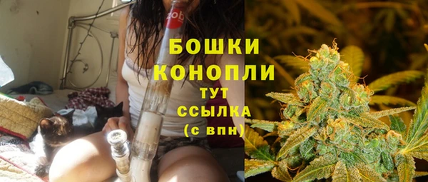 молекула духа Покачи