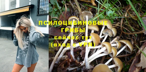 молекула духа Покачи