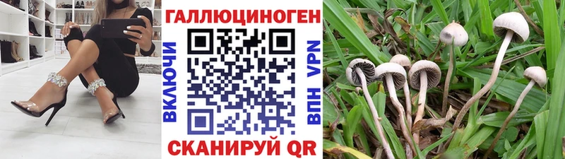 даркнет телеграм  Невельск  Галлюциногенные грибы GOLDEN TEACHER 