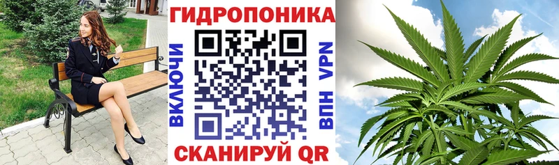 Конопля THC 21%  даркнет сайт  shop официальный сайт  Невельск  гидра зеркало 